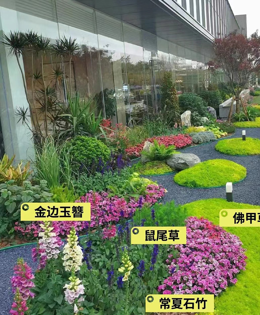 花镜设计与施工