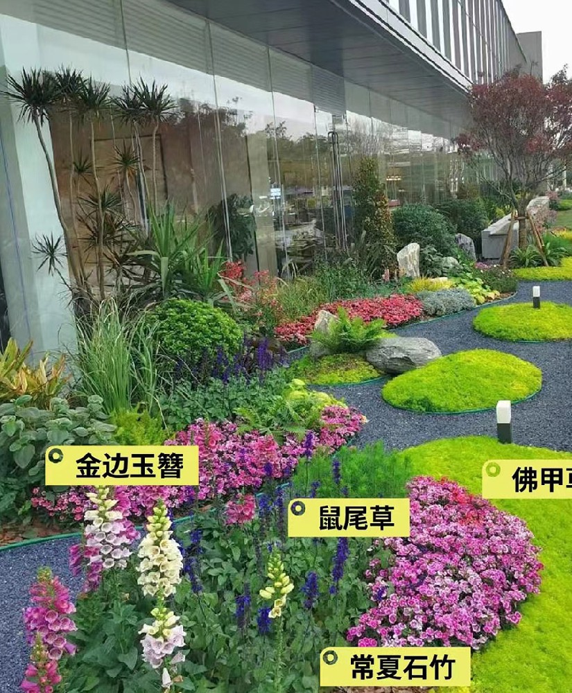 花镜设计与施工
