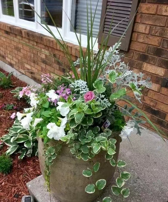 花镜设计与施工