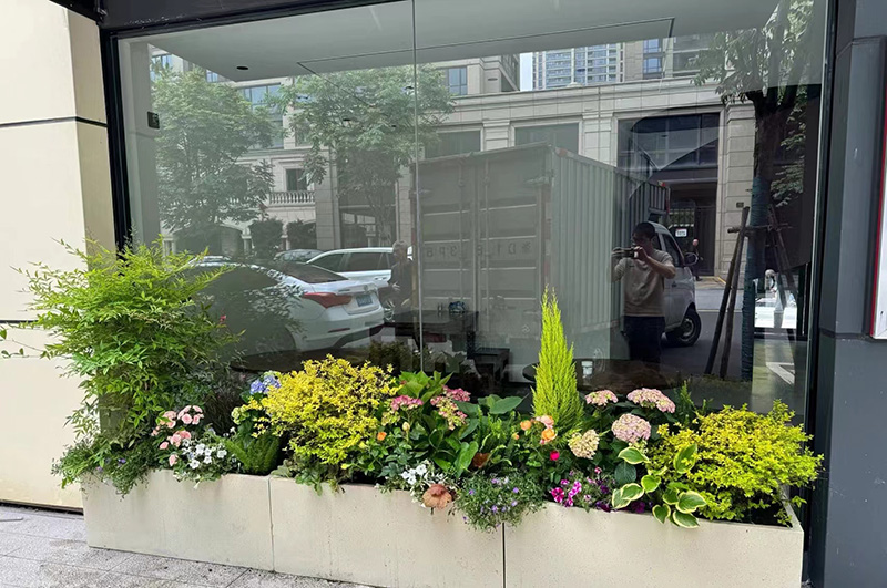 花镜植物设计与施工