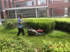 园艺养护