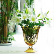 接待台花