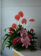 接待台花