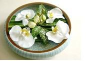 茶几用花