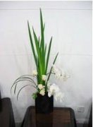 茶几用花