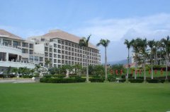 绿化草坪