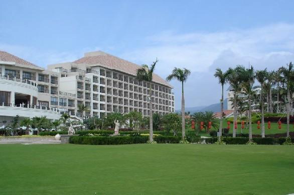 绿化草坪