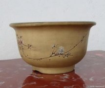紫砂花盆