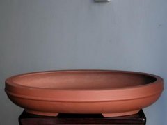 紫砂花盆
