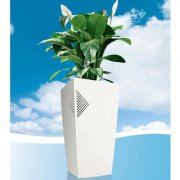 蕾秀花盆