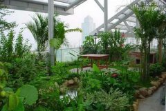 屋顶花园
