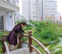屋顶花园